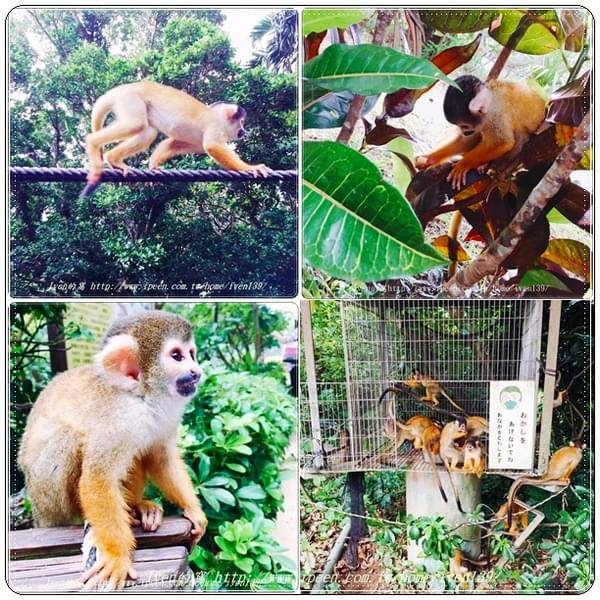 石桓島：《麗星郵輪寶瓶星號》2017.10月中秋節家人郵輪石桓島之旅-『石桓島』篇