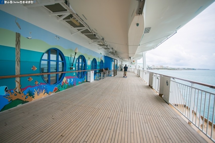 IMG_2912-2-0-1-0-0-1 (11)-1-1.jpg