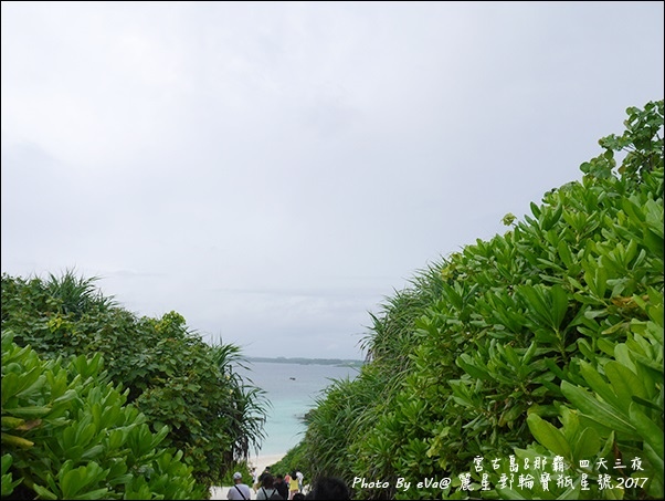 13 麗星郵輪寶瓶星號宮古島岸上行程-05.jpg