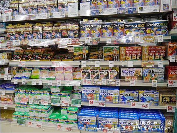 14 麗星郵輪寶瓶星號那霸岸上行程-18.jpg