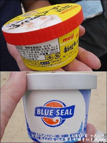 13 麗星郵輪寶瓶星號宮古島岸上行程-20.jpg