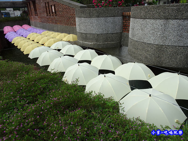 2019-8月14日阿里史冷泉 (12).jpg