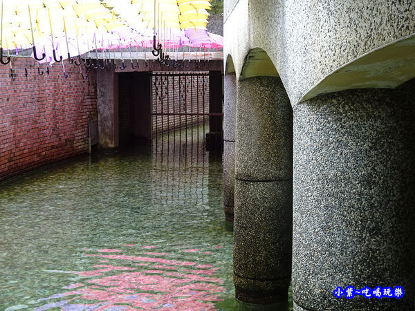 2019-8月14日阿里史冷泉 (19).jpg