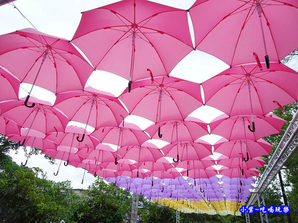 蘇澳彩虹傘-冷泉 (1).jpg