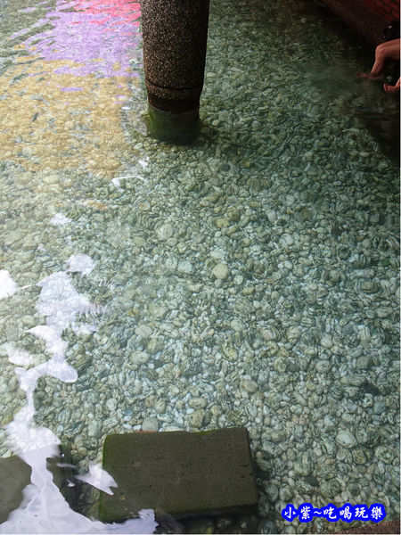 2019-8月14日阿里史冷泉 (20).jpg