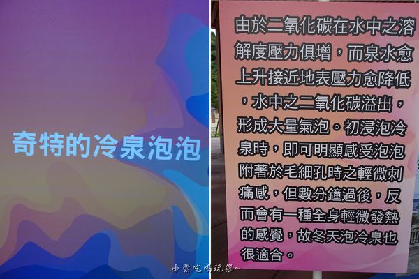 奇特的冷泉泡泡.jpg