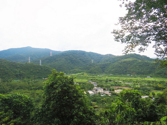 仁山植物園 (11)