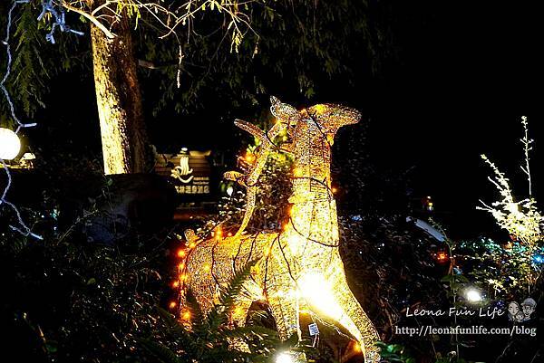 期間限定新北三峽落羽松耶誕樹-山林漫步、泡美人湯品海陸大餐，浪漫過聖誕親子景點約會景點1DSC06662.JPG