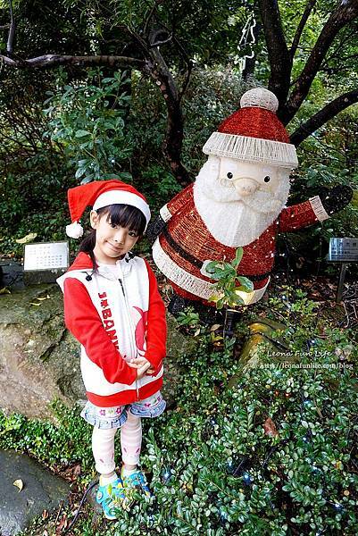 期間限定新北三峽落羽松耶誕樹-山林漫步、泡美人湯品海陸大餐，浪漫過聖誕親子景點約會景點1DSC06800.JPG