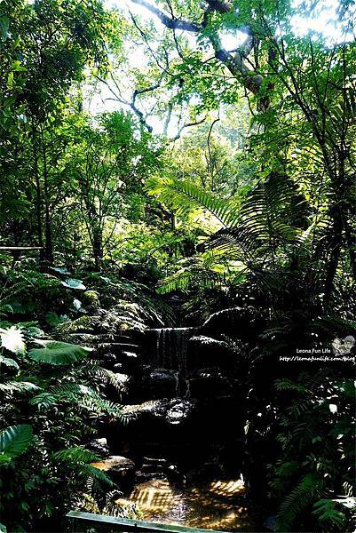 新北三峽住宿 美食 景點 親子 長輩 大板根住宿 大板根森林溫泉渡假村 森林遊樂區 湯屋 溫泉 烤肉 露營 螢火蟲 交通  大板根小木屋  大 板根湯屋券 飯店 設施  大板根 咖啡廳 伴手禮 適合老人的景點 同長輩去旅行  帶父母出遊  國內家族旅遊 規劃  老人家 適合去的地方老人自助旅行  適合帶媽媽去的景點DSC04119.JPG