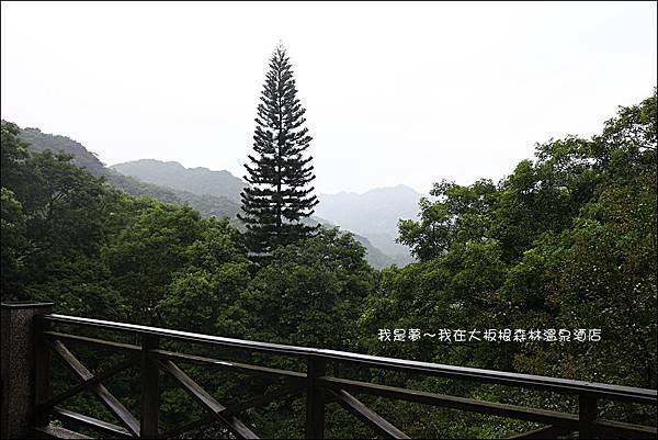 大板根森林溫泉酒店12.jpg