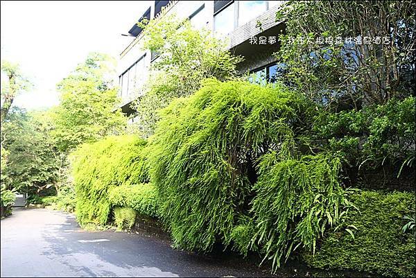 大板根森林溫泉酒店33.jpg