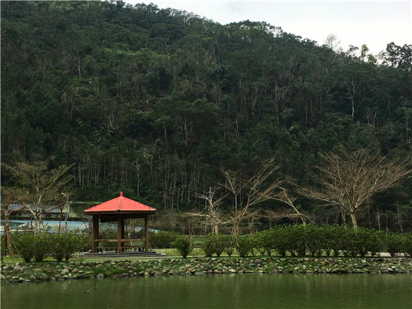 IMG_6180.JPG IMG_6180.JPG