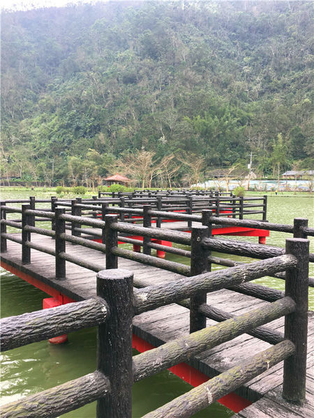 IMG_6186.JPG IMG_6186.JPG