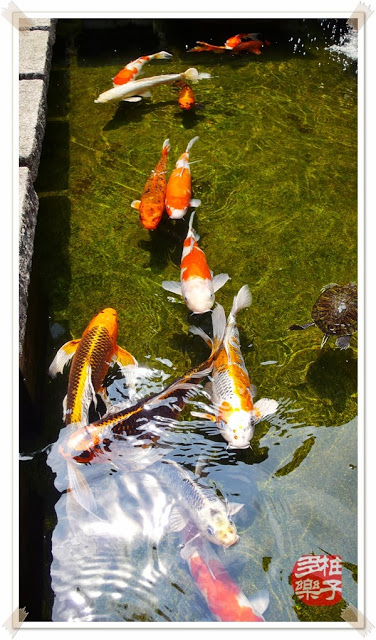 富錦街No.108：庭園流水吃氣氛