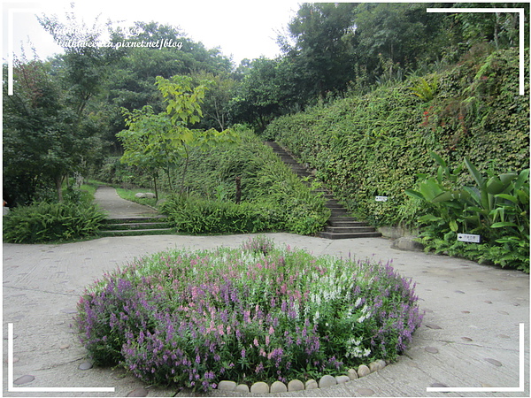 『呷』「苗栗大湖」☆天空之城☆ 離天空不遠的夏日避暑遊