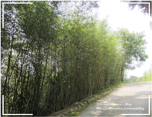 『呷』「苗栗大湖」☆天空之城☆ 離天空不遠的夏日避暑遊