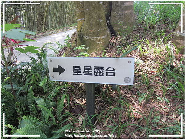 『呷』「苗栗大湖」☆天空之城☆ 離天空不遠的夏日避暑遊