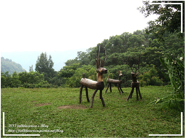 『呷』「苗栗大湖」☆天空之城☆ 離天空不遠的夏日避暑遊