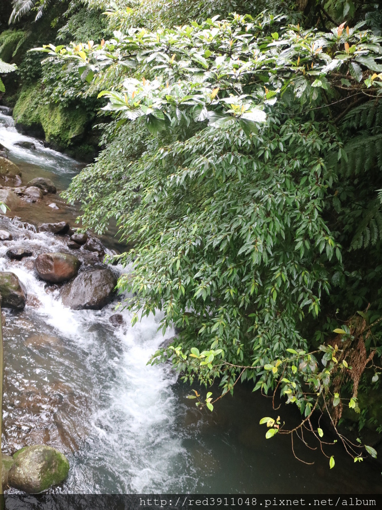 180126 483.JPG 180126 483.JPG