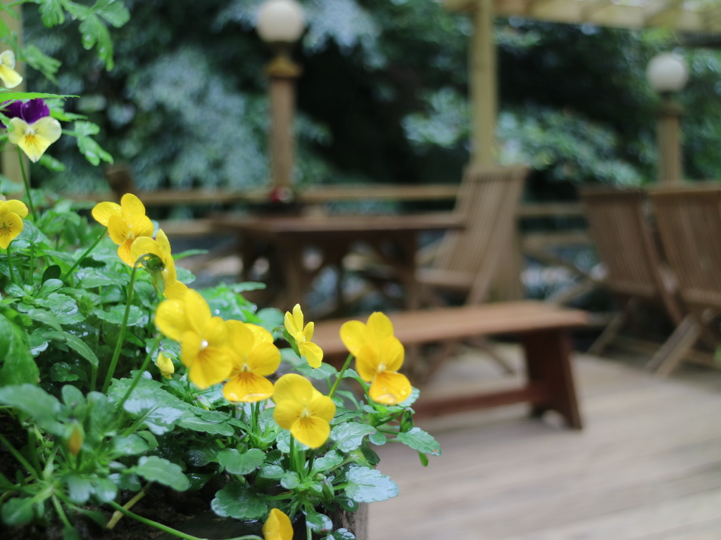 180126 341.JPG 180126 341.JPG