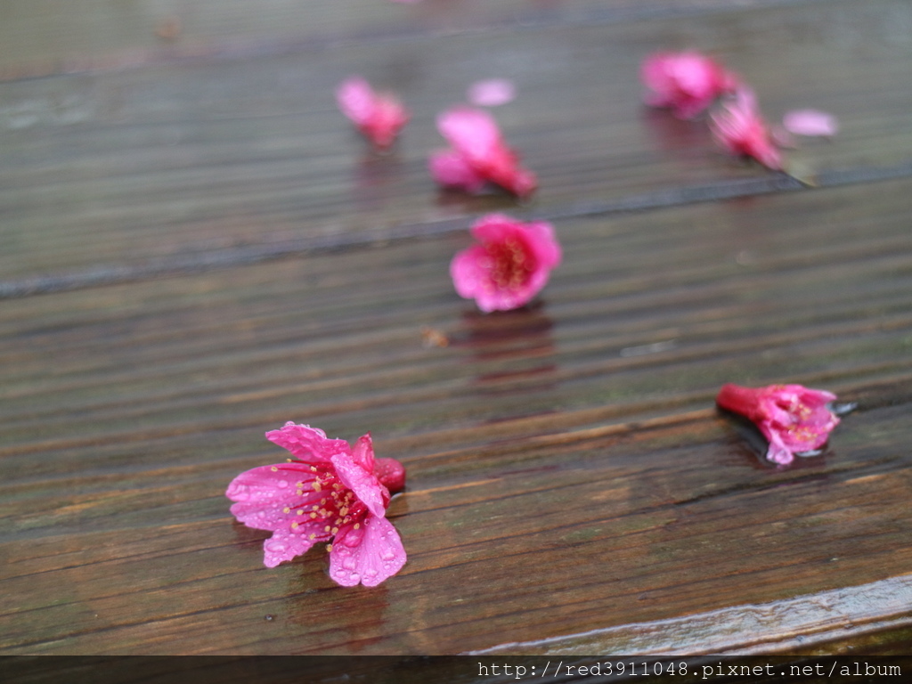 180126 534.JPG 180126 534.JPG