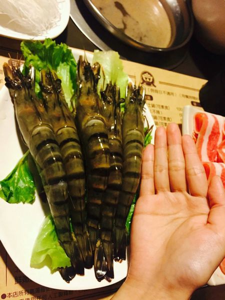 IMG_20160602_095222_169