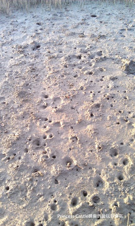 2014-07-12 18.22.21.jpg