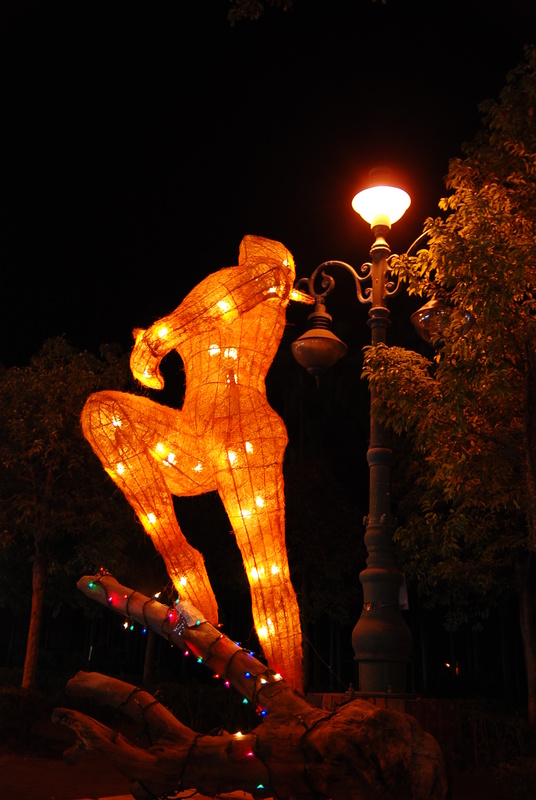 ◈南投◈ⓜ水里蛇窯&集集燈會ⓜ