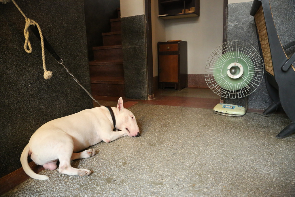 116A4384.JPG 116A4384.JPG