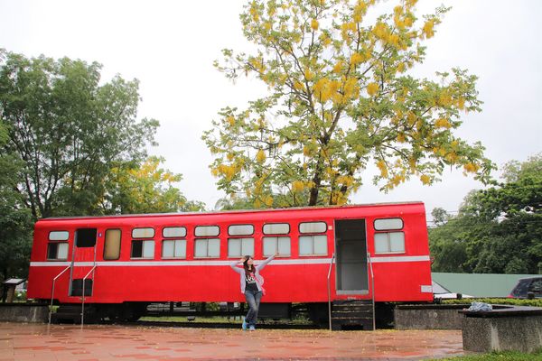 阿里山森林鐵路嘉義車庫：【嘉義景點】阿里山森林鐵路車庫園區~雨中的阿勃勒也是美到不要不要的，雖然沒有艷陽高照，卻多了一股惆悵般的美感