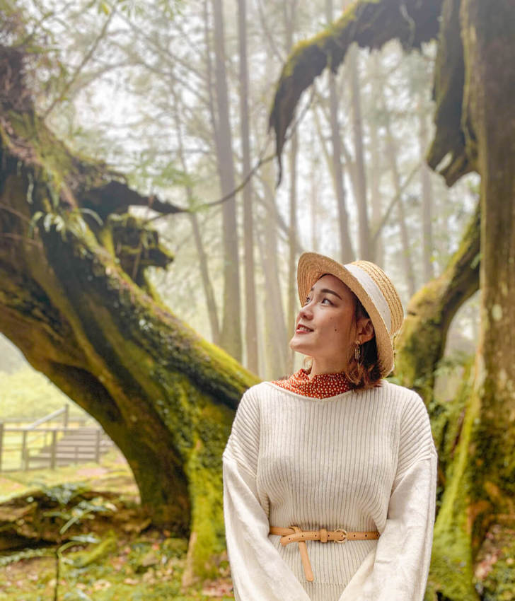 阿里山櫻花季2020｜