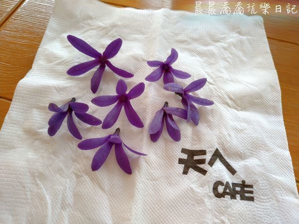 宜蘭美食天ㄟ咖啡