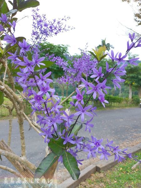 宜蘭美食天ㄟ咖啡
