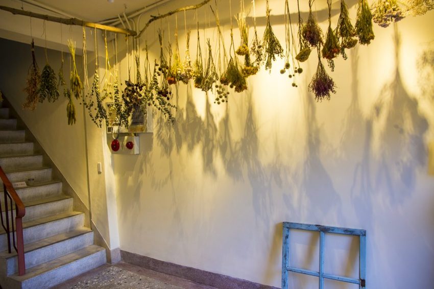 【台北景點】空軍三重一村/新北市眷村文化園區~網美拍照裝置藝術、兒童遊戲區、文青藝術風,這裡一次滿足