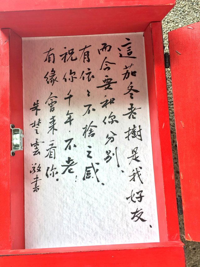 空軍三重一村,三重一村,台北橋站,我不是他媽媽,童趣,親子活動,跳格子,同年記憶,眷補證,小山坡廣場,空軍防砲部隊,免費,故事館,文化藝術