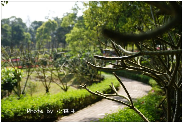 客家大院:客家大院 客家大院:客家大院