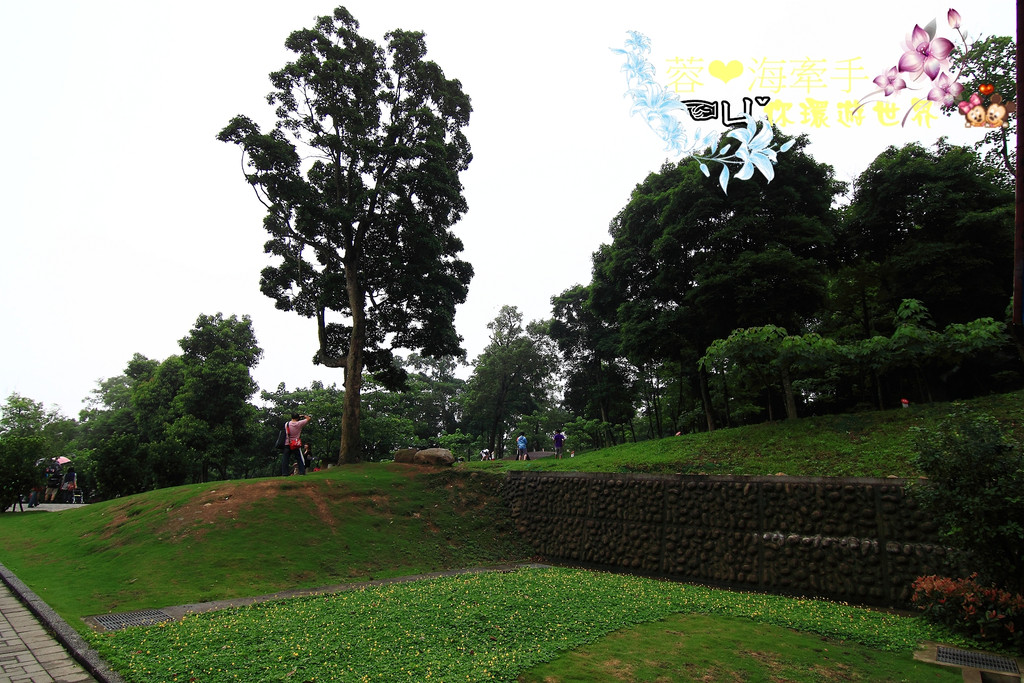 【苗栗】大宅門。賞桐好去處ღ客家大院