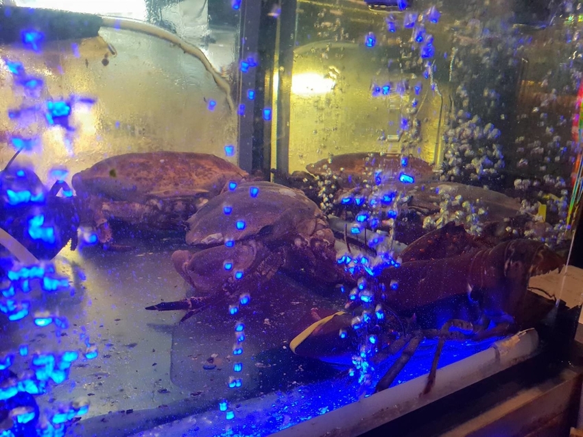 【台中.北屯區】鵝房宮一點利創始店。市場美食日本料理推薦。海鮮丼飯+無菜單料理1680+生魚片+生蠔