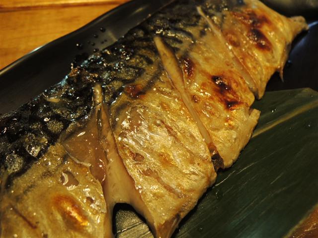 DSCN4523.JPG DSCN4523.JPG