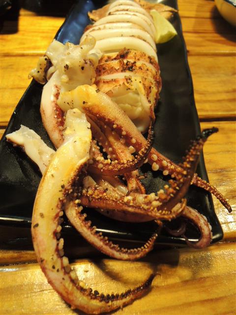 DSCN4515.JPG DSCN4515.JPG