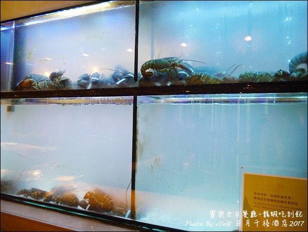 日月千禧-10.jpg 日月千禧-10.jpg