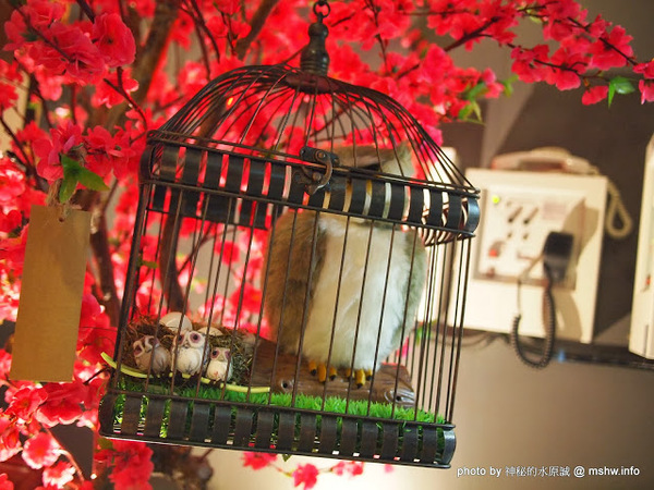 Huku幸福食尚創作料理:【食記】台中哪裡好吃-HuKu幸福時尚創作料理@西區BRT中正國小 : 下一站,Huku~讓人洋溢於幸福中的貓頭鷹主題餐廳! Huku幸福食尚創作料理:【食記】台中哪裡好吃-HuKu幸福時尚創作料理@西區BRT中正國小 : 下一站,Huku~讓人洋溢於幸福中的貓頭鷹主題餐廳!