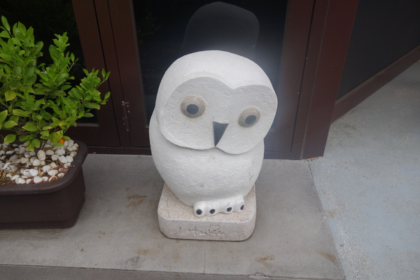 cm20140226___7e084be0ba9d2e674e1d25ed203