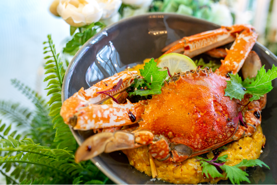 台中美食 台中必吃美食 台中美食推薦 樂丘廚房 台中人氣美食