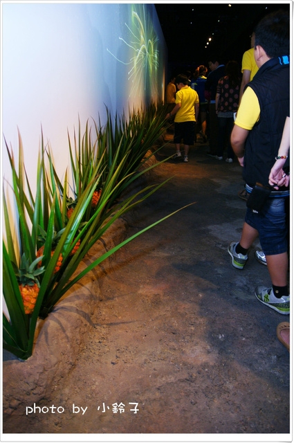 維格餅家：是誰住在深海的大鳳梨裡~「維格餅家」