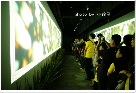 維格餅家：是誰住在深海的大鳳梨裡~「維格餅家」