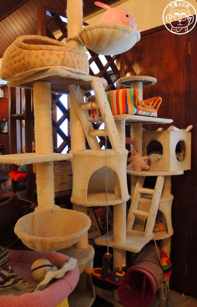 Miao米亞歐隨義小廚:呷飽祙【台北內湖・Miao米亞歐 隨義小廚】巷弄裡的寵物當家義式料理 Miao米亞歐隨義小廚:呷飽祙【台北內湖・Miao米亞歐 隨義小廚】巷弄裡的寵物當家義式料理