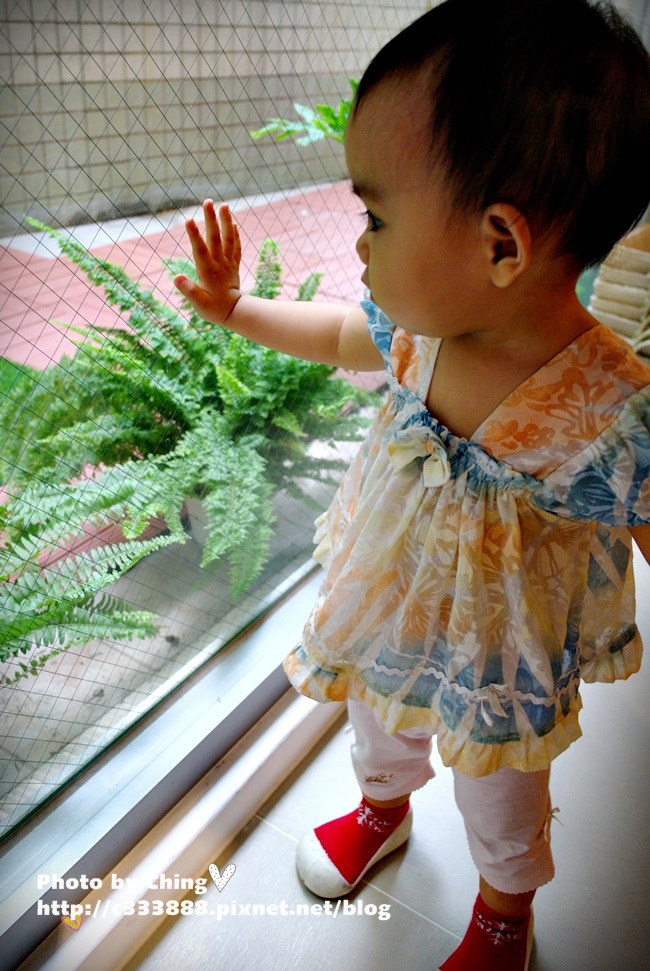 SAM_5445.JPG SAM_5445.JPG