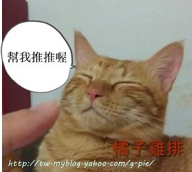 [橘子雞排] 中和の 鍋神涮涮鍋 第二盤肉免費!!